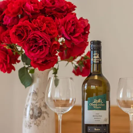 Vogthof ゲストハウス Lautenbach