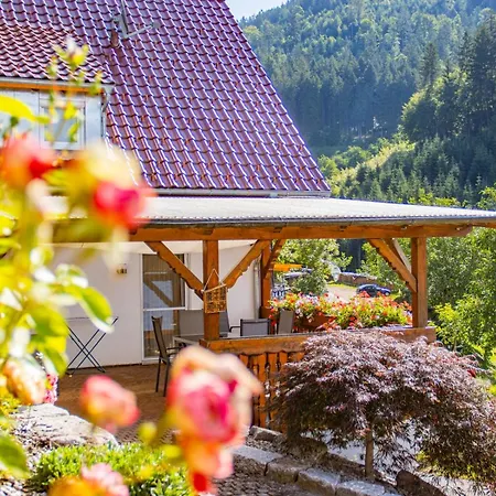 Vogthof * Lautenbach