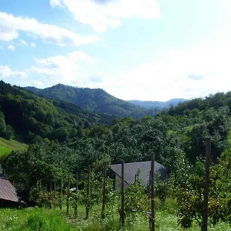 ゲストハウス Vogthof Lautenbach