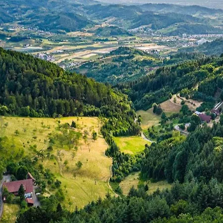 Vogthof 3* Lautenbach