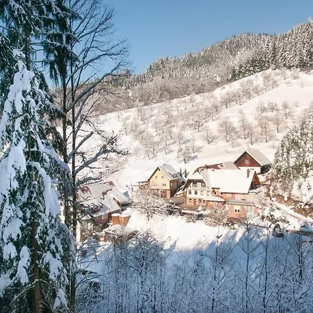 Vogthof Affittacamere Lautenbach