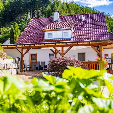 Vogthof Penzion Lautenbach